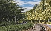 경춘선숲길, 광운대역세권까지 연장, 6월 개통