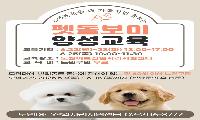 노원어르신일자리지원센터 펫돌보미 양성교육