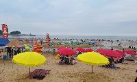 충남 태안군 여행 - 김재창의 팔도유람 산이야기