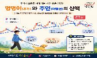 내 주식이 왜 이러지? 주식 시장의 멍멍이와 산책하기